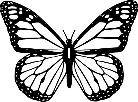 cartoon black and white butterfly|More.